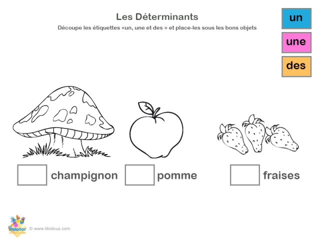 Grande Section : les déterminants