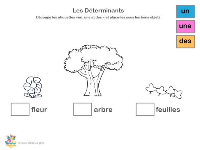 Grande Section : les déterminants