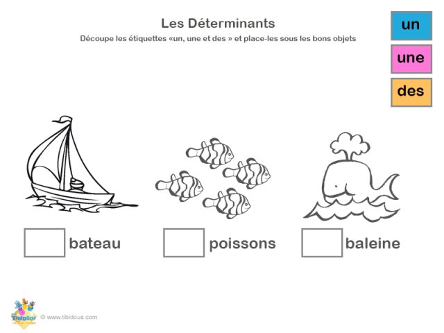 Grande Section : les déterminants