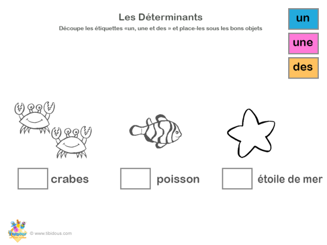 Grande Section : les déterminants