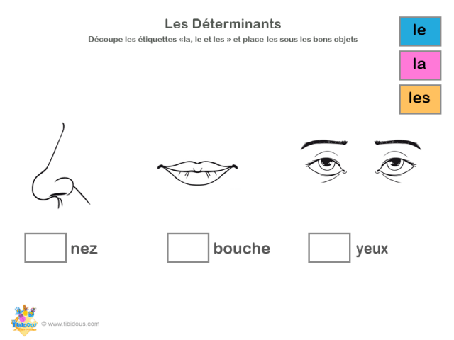 Grande Section : les déterminants