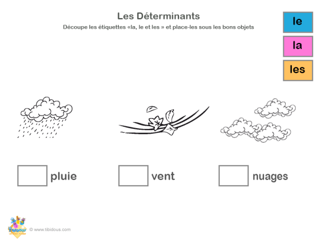 Grande Section : les déterminants