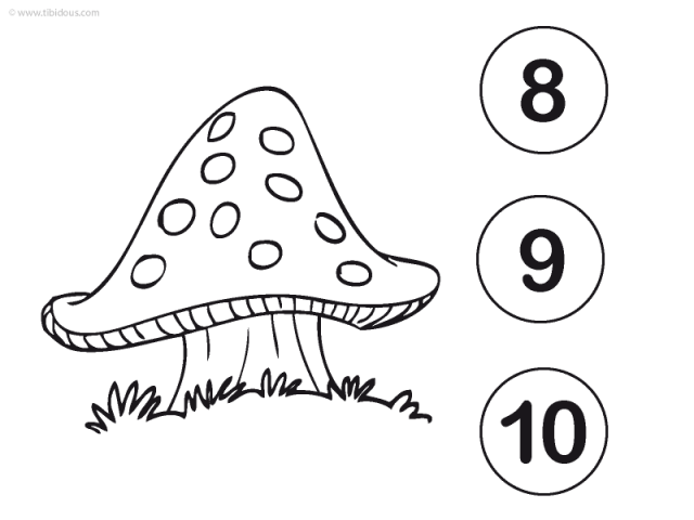 Grand Section : compter