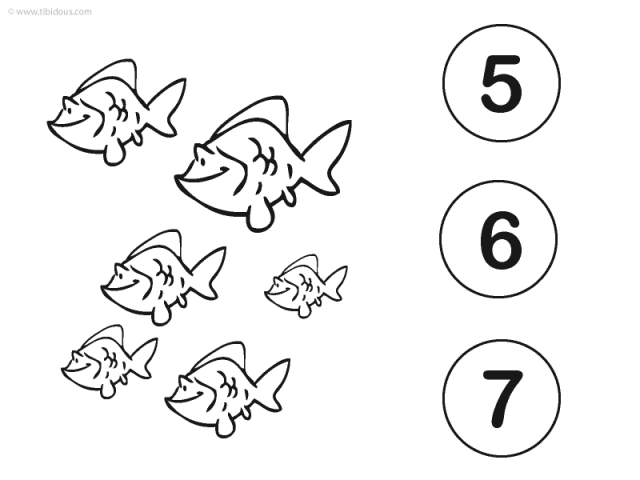 Grand Section : compter