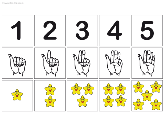Grande Section : Frises numériques