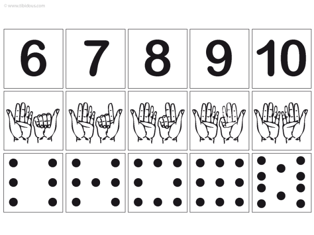Grande Section : Frises numériques