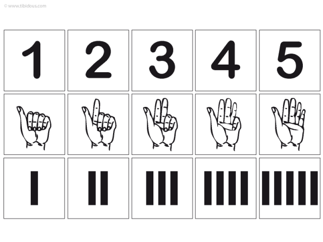 Grande Section : Frises numériques