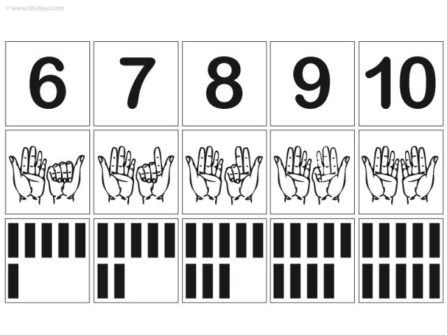 Grande Section : Frises numériques
