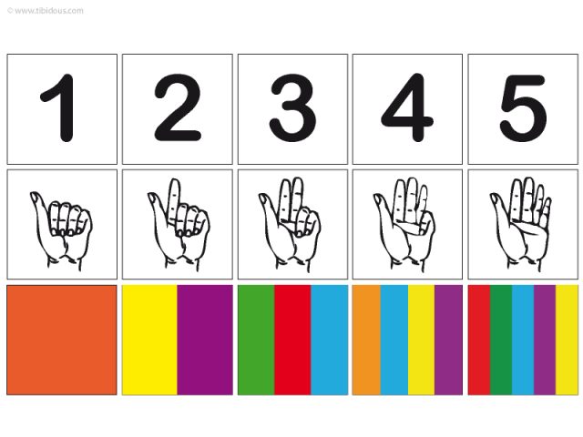 Grande Section : Frises numériques