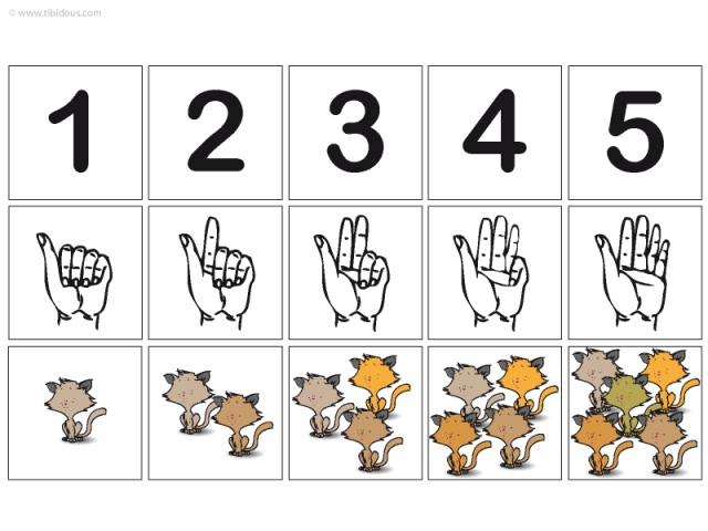 Grande Section : Frises numériques