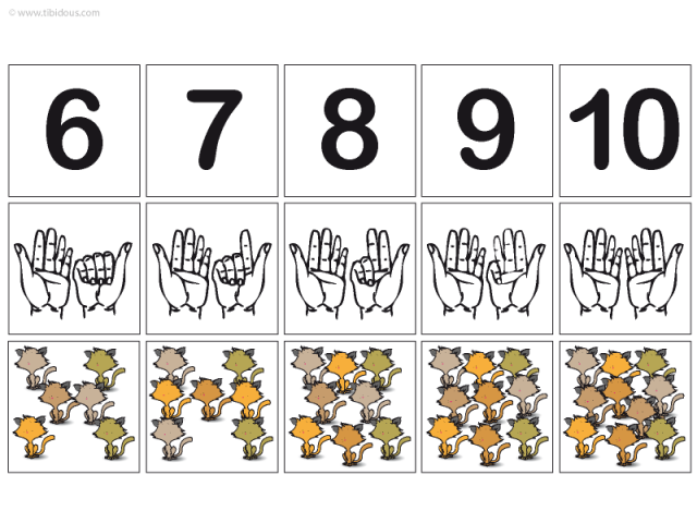 Grande Section : Frises numériques