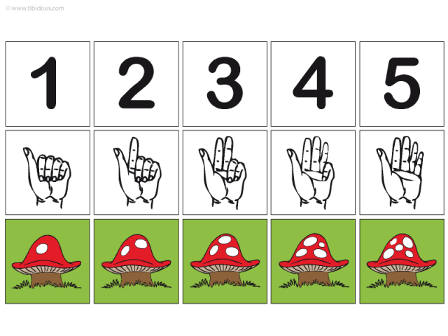 Grande Section : Frises numériques