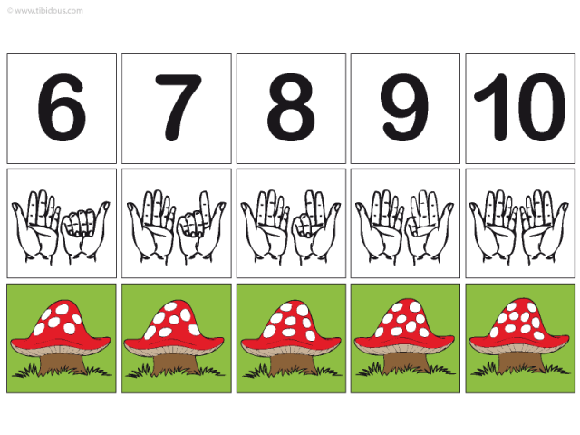Grande Section : Frises numériques