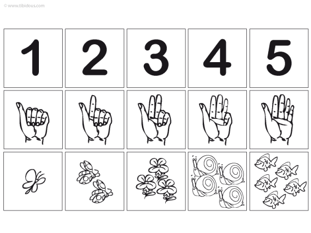 Grande Section : Frises numériques