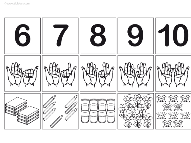 Grande Section : Frises numériques