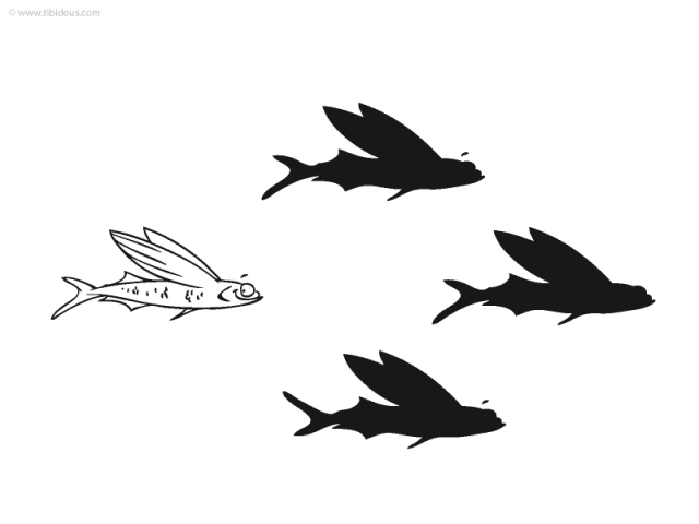 Grande section : jeu des ombres