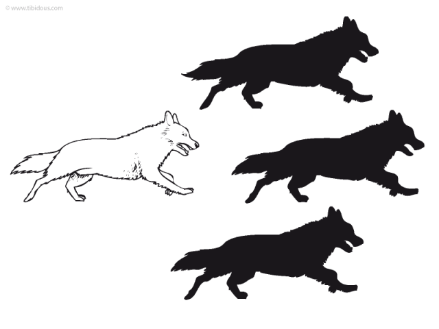 Grande section : jeu des ombres