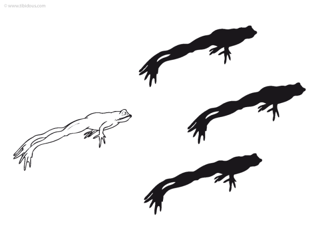 Grande section : jeu des ombres