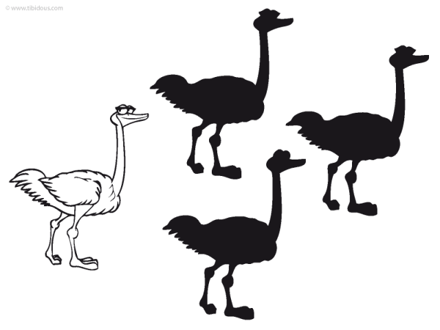 Grande section : jeu des ombres