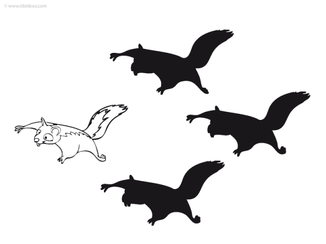 Grande section : jeu des ombres