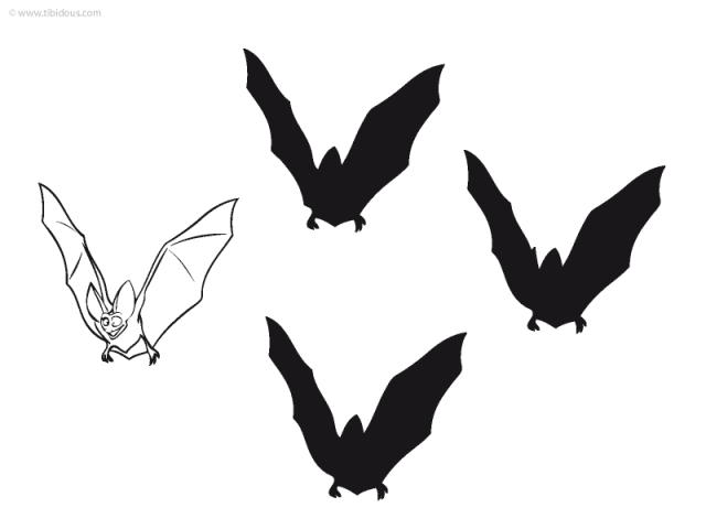 Grande section : jeu des ombres