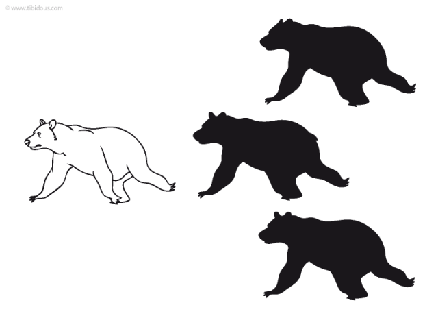 Grande section : jeu des ombres