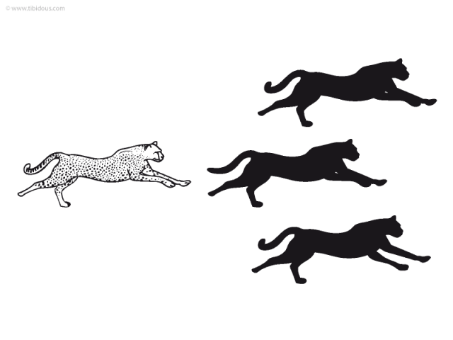 Grande section : jeu des ombres