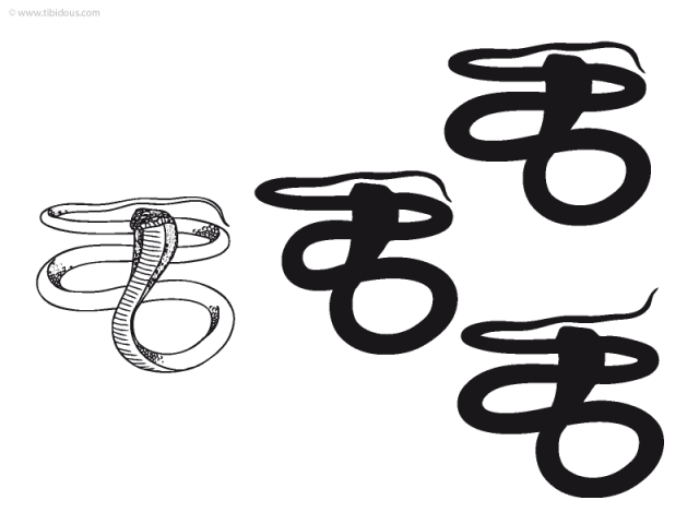 Grande section : jeu des ombres