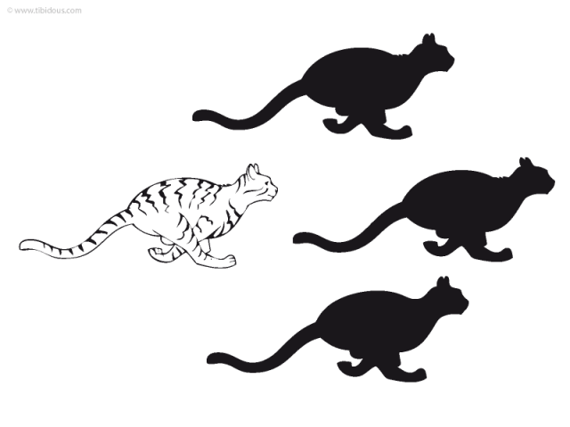 Grande section : jeu des ombres