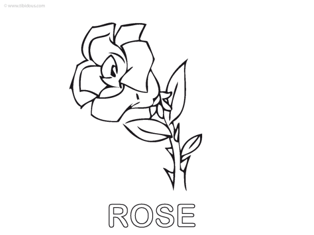 Moyenne Section : coloriage