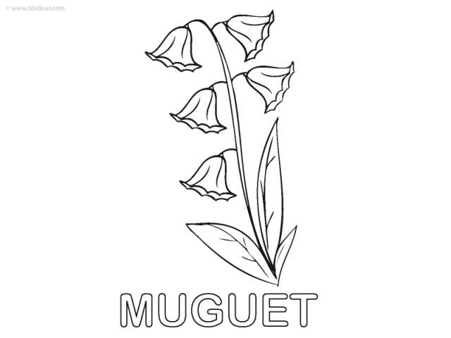 Moyenne Section : coloriage
