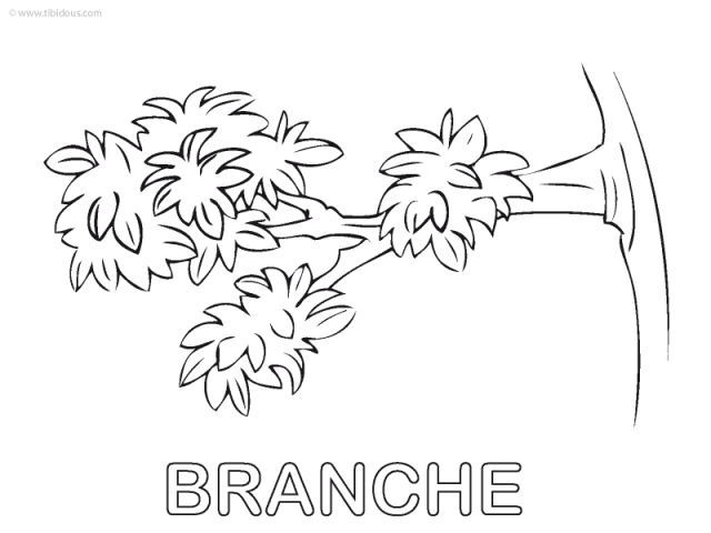 Moyenne Section : coloriage
