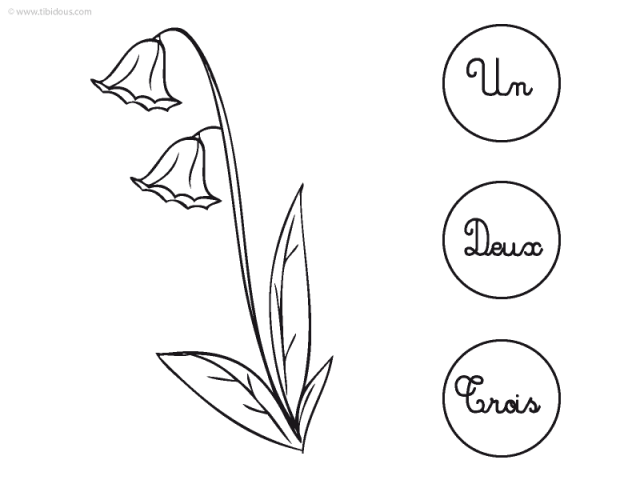 Moyenne Section : compter