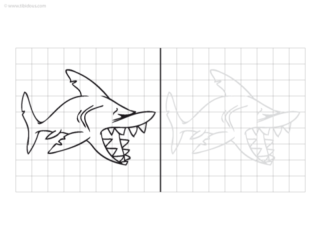 Moyenne Section : copie requin