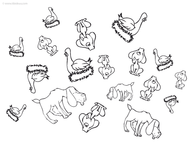 Moyenne section : Ensemble